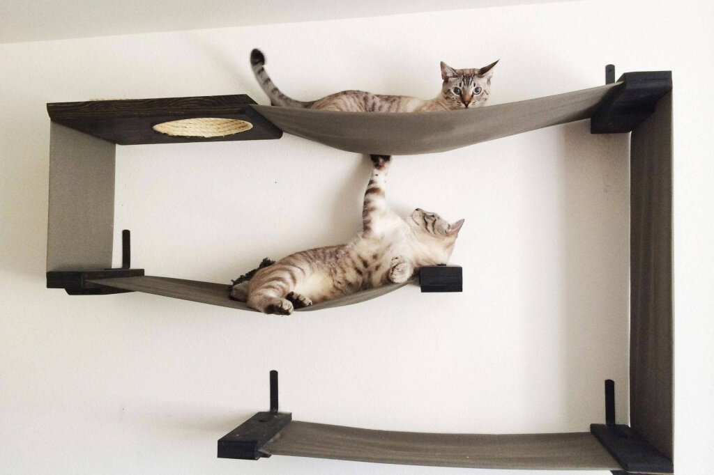 ModernChicInteriors: Elevating Pet Comfort and Style